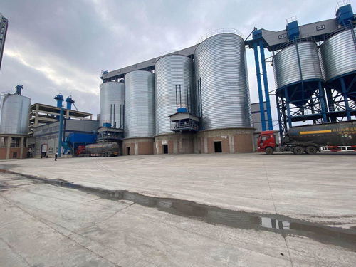 蘭西縣 民營經(jīng)濟(jì)驅(qū)動高質(zhì)量發(fā)展，建筑材料銷售成為強(qiáng)勁新動能