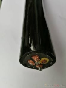 動力控制電纜與特種電纜 聚焦可卷起聚氨酯與無鹵電纜的生產(chǎn)與應(yīng)用